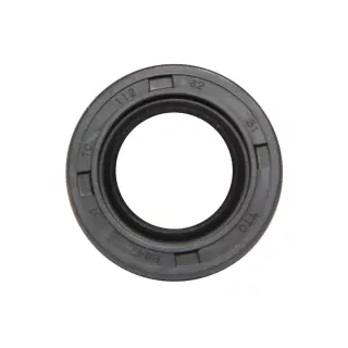 Σετ Λαστιχένιων Στεγανώσεων (Lip Seal Kit)