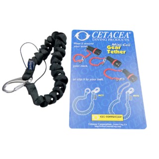 Mini Coil Gear Tether