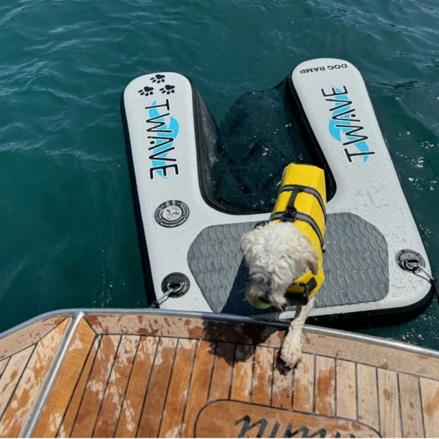 Inflatable Dog ramp T-WAVE Pet