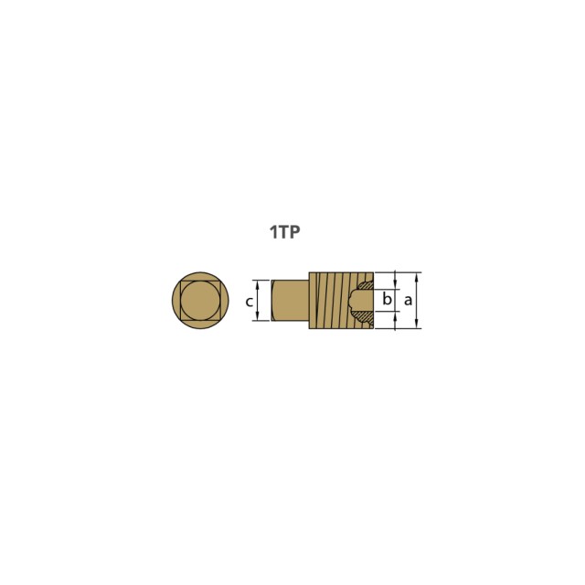 Anodes Caterpillar brass plug th. 1/2 bspt