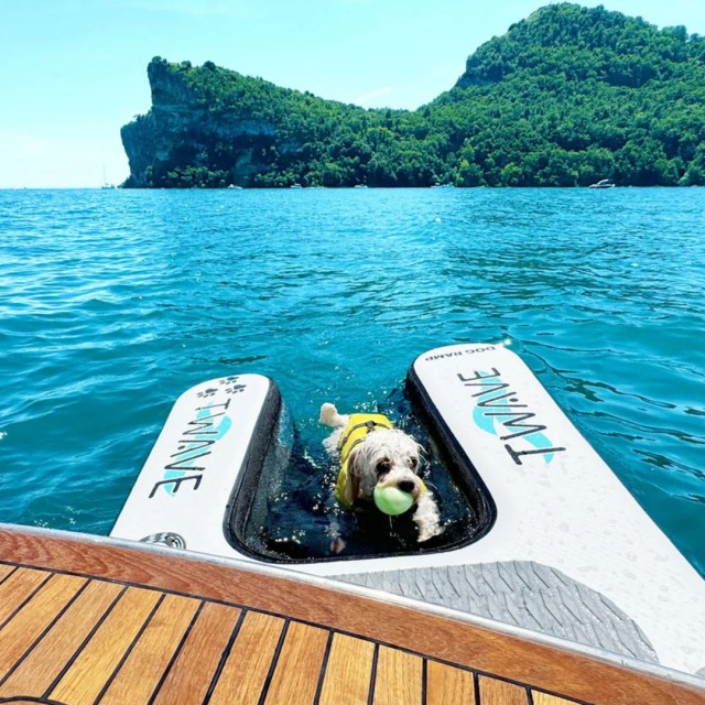 Inflatable Dog ramp T-WAVE Pet