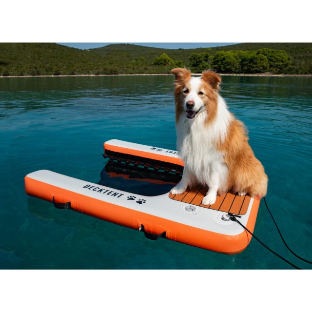 Inflatable Dog Ramp White & Orange