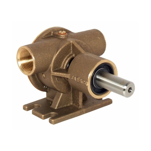 ?” bronze pump, 40-size, foot-mounted with BSP threaded ports