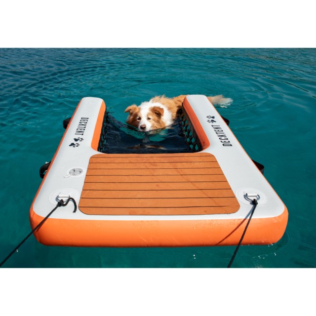 Inflatable Dog Ramp White & Orange