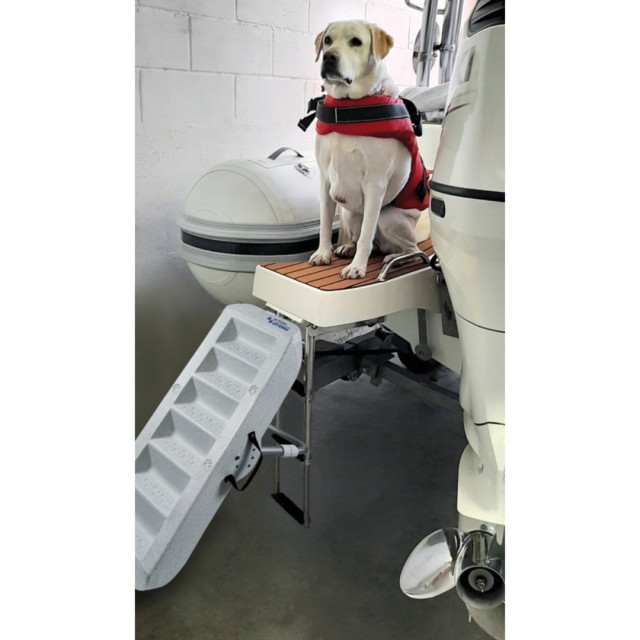 Pet Paws Up doggy ramp