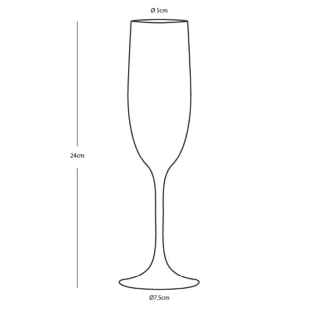 Anti-Slip Champagne Glass Φ4.3cm Living Marine Business Copolyester (T) – BPA Free (Set of 6 Pieces)