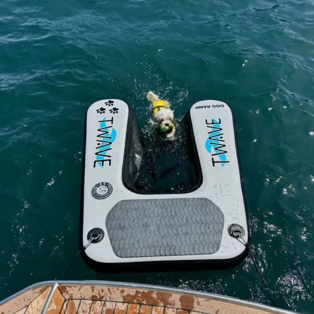 Inflatable Dog ramp T-WAVE Pet